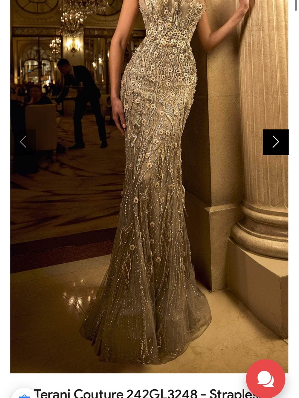 Terani Couture 242GL3248 Dress